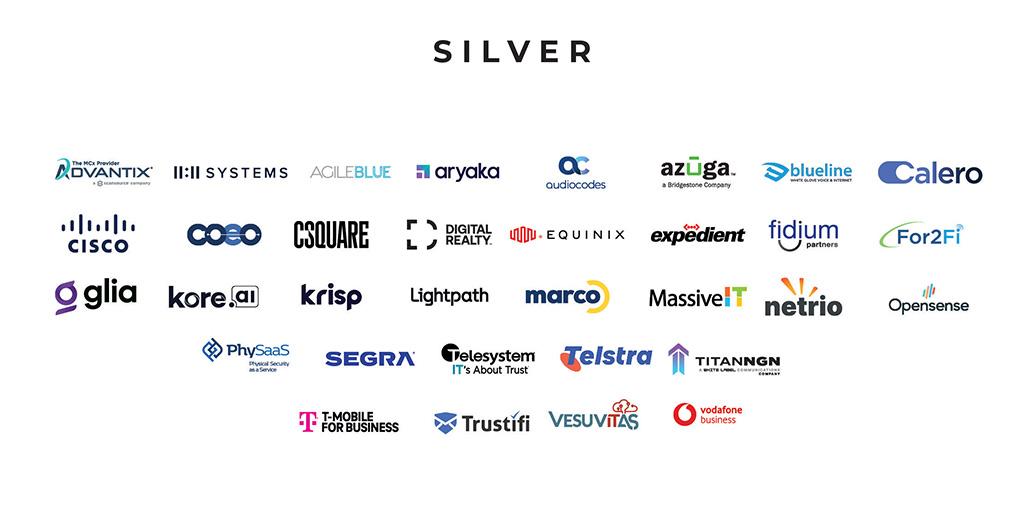 Silver Sponsors