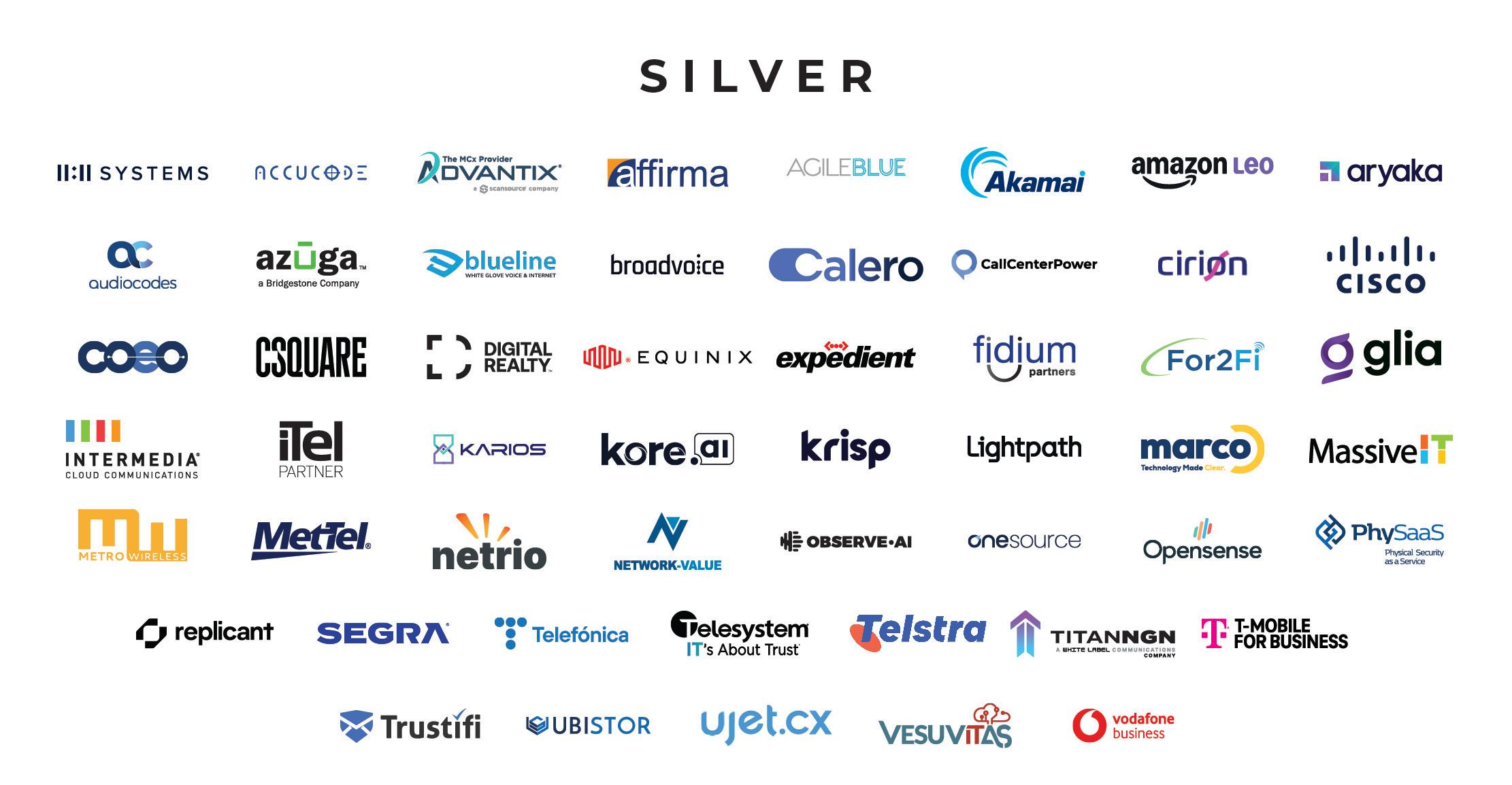 Silver Sponsors